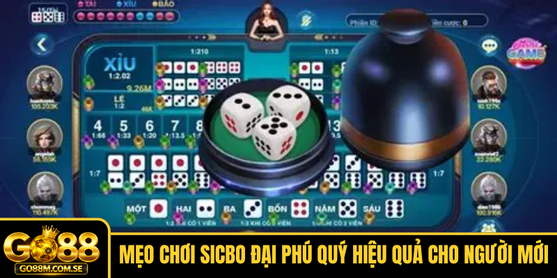 Mẹo chơi Sicbo Đại Phú Quý hiệu quả cho người mới